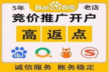 百度竞价排名策略解析及实战案例
